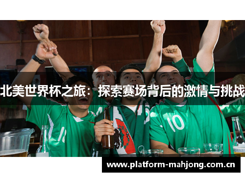 北美世界杯之旅:探索赛场背后的激情与挑战 北美世界杯之旅:探索赛场背后的激情与挑战